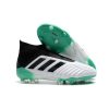 Adidas Predator 18+ FG - Wit Groen Zwart_1.jpg